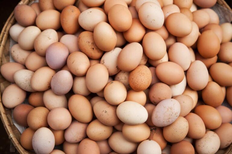 Huevos