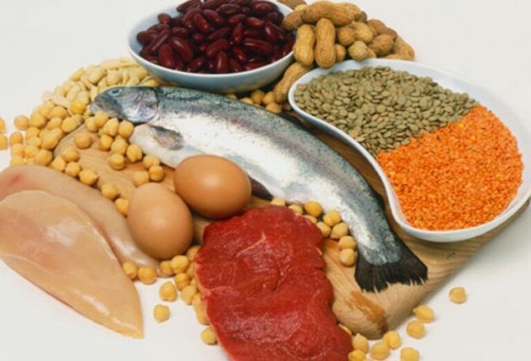 alimentos proteicos