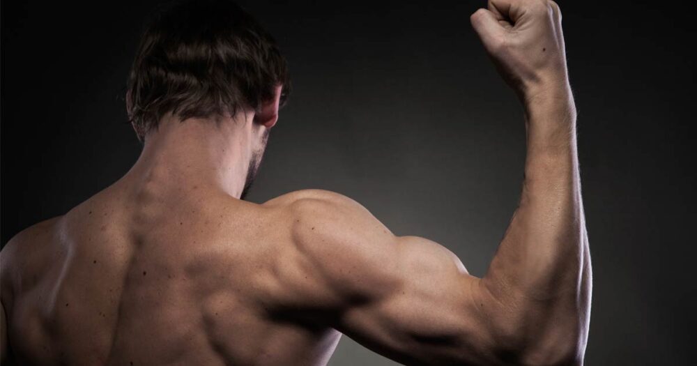brazo musculado