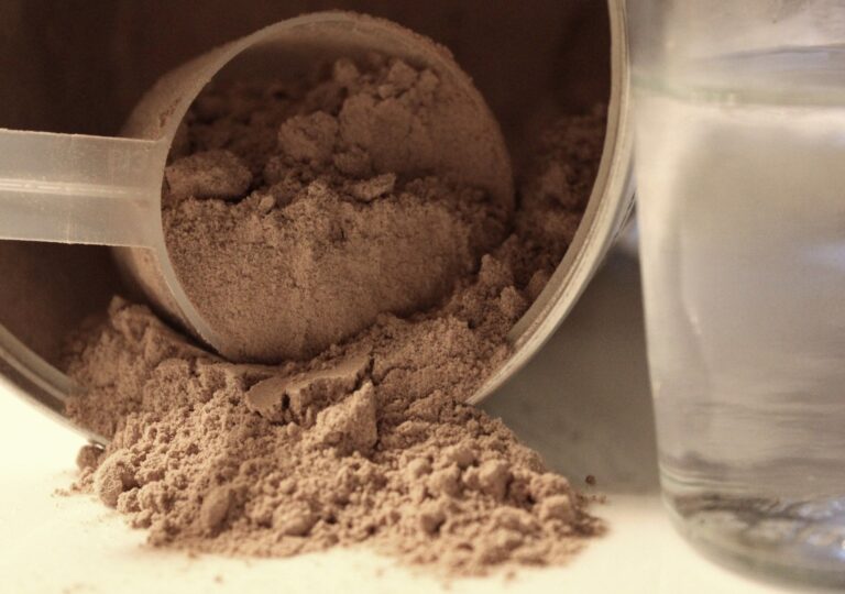 batidos proteicos