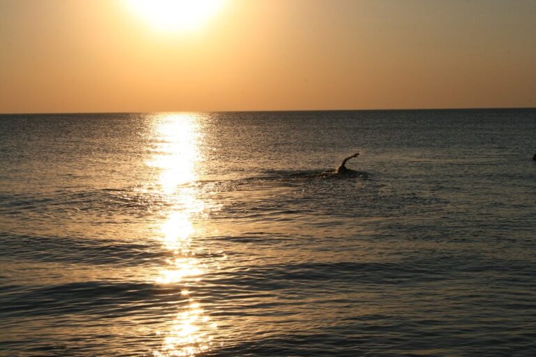 nadando en el mar
