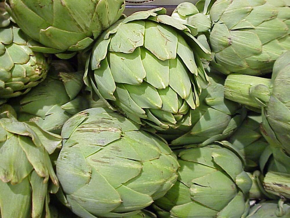 Alcachofa