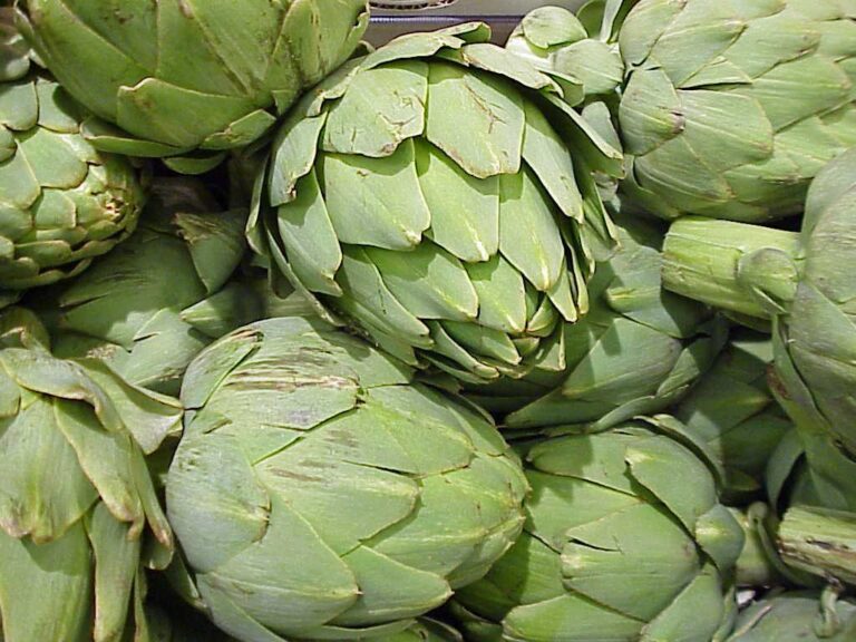 Alcachofa