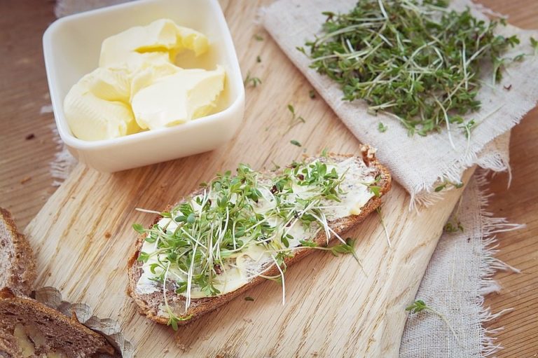 Los mejores alimentos para una dieta cetogénica