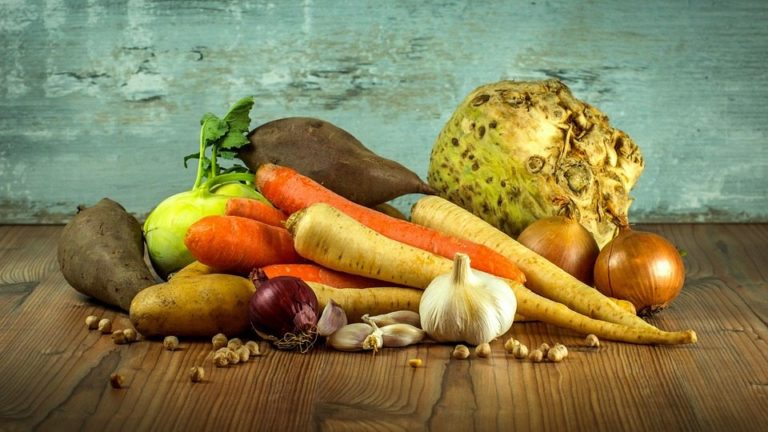 Elegir nutrientes naturales o sintéticos