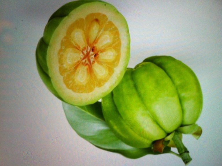 ¿Puede la Garnicia Cambogia ayudarte a perder peso?
