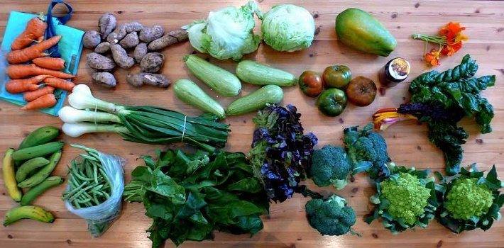 verduras poco conocidas