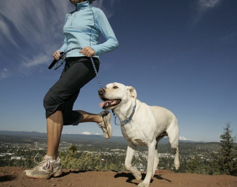 Mejores razas de perro para practicar running