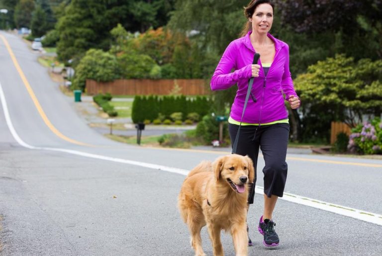 Correr con tu perro