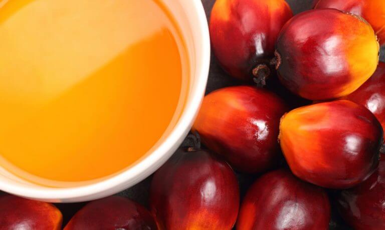 Verdades del aceite de palma