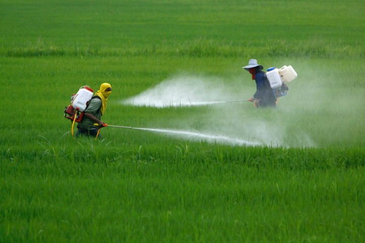 Frutas y verduras con más cantidad de pesticidas