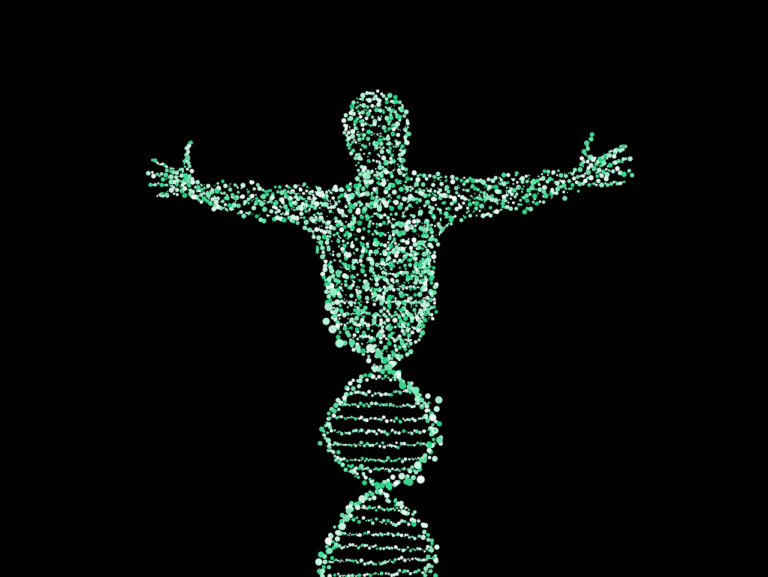 Tus genes determinan cómo debes ponerte en forma