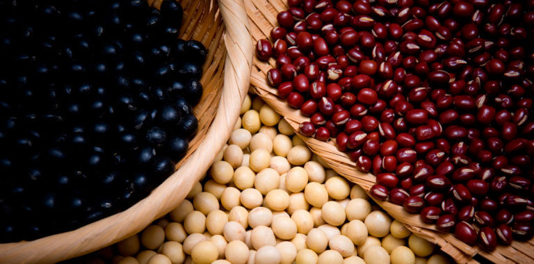 Las legumbre son alimentos increíblemente ricos en nutrientes esenciales