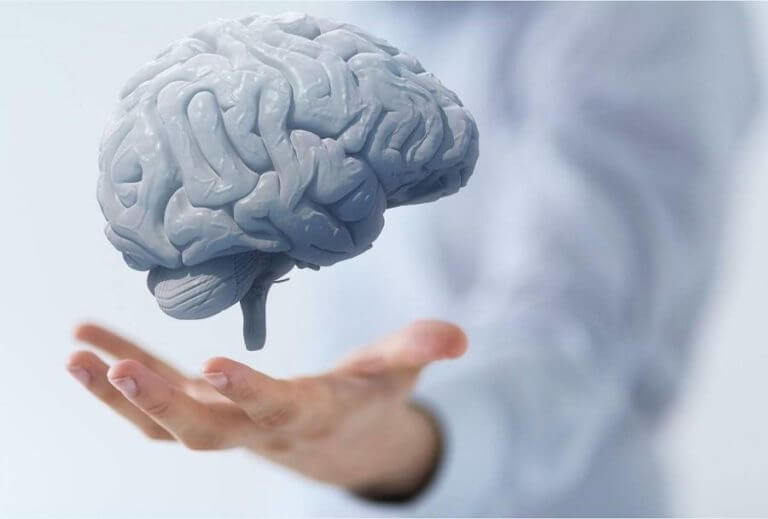 Influencia del omega-3 en el cerebro