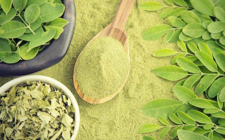 ¿Cómo beneficiarse de la moringa oleifera?