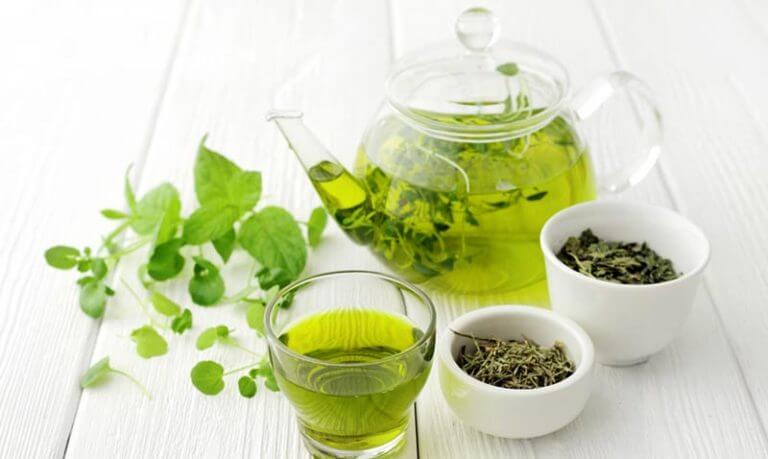 Características del extracto de té verde
