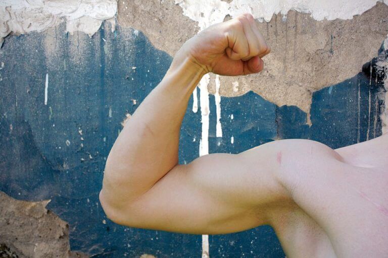 Construir músculos de forma sostenible en el tiempo