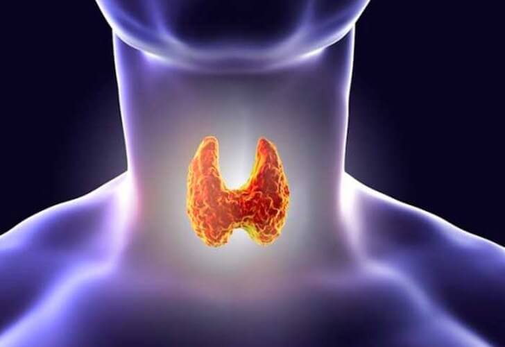Problemas de salud causados por la glándula tiroides