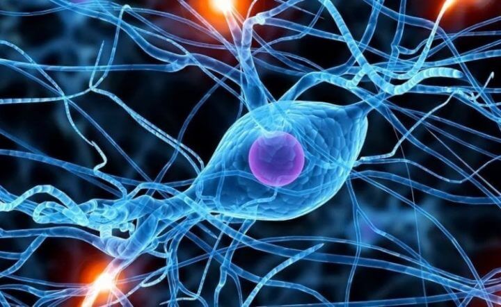 Importancia de los electrolitos en el organismo