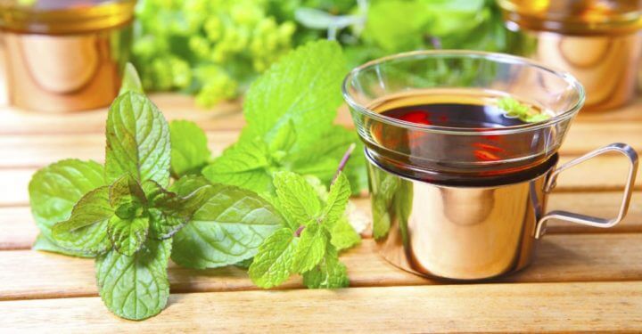 Guía definitiva sobre el té de menta