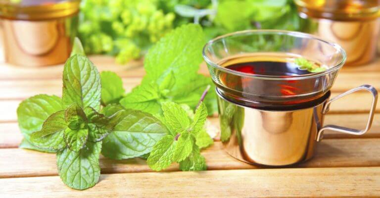 Guía definitiva sobre el té de menta