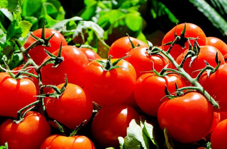 Alimentos cargados con sabor umami