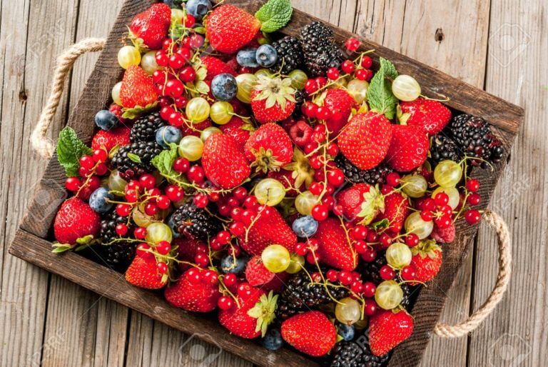 Bayas sabrosas ricas en antioxidantes