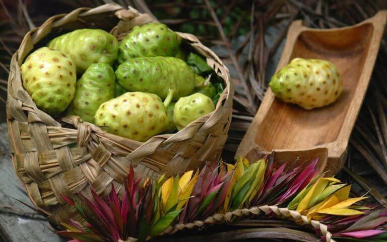 Guía del zumo de noni