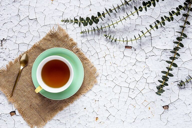 Propiedades del té de sasafrás