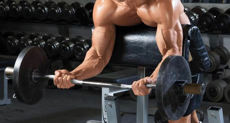 Guía para el entrenamiento de bíceps