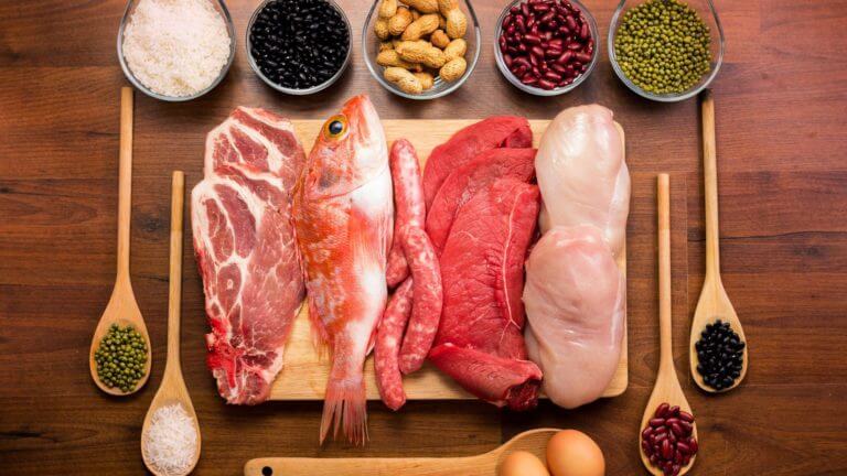 ¿Es mejor la proteína animal o la vegetal?
