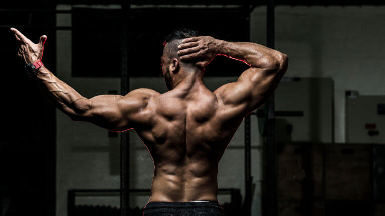 Ejercicios para conseguir espalda en forma de V