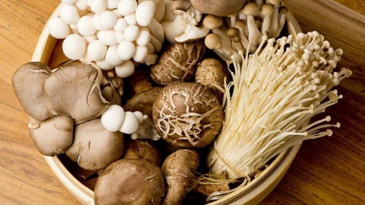 ¿Cuáles son los champiñones silvestres más comestibles más sanos?