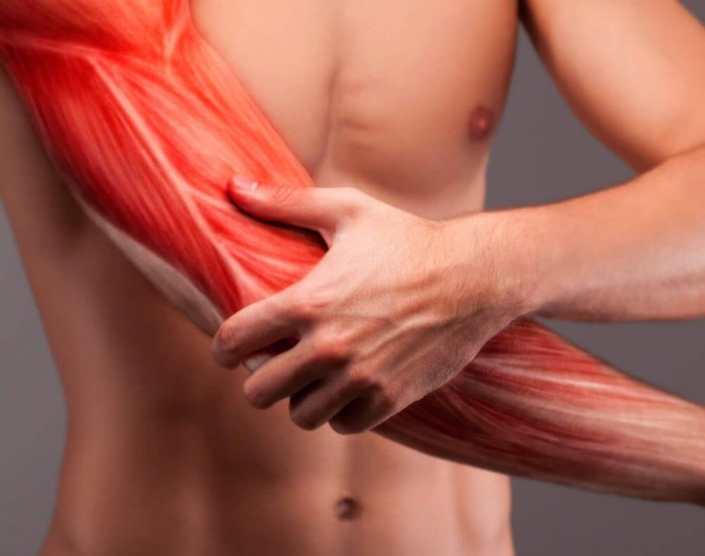 Los mejores consejos para evitar el catabolismo y perder pasa muscular