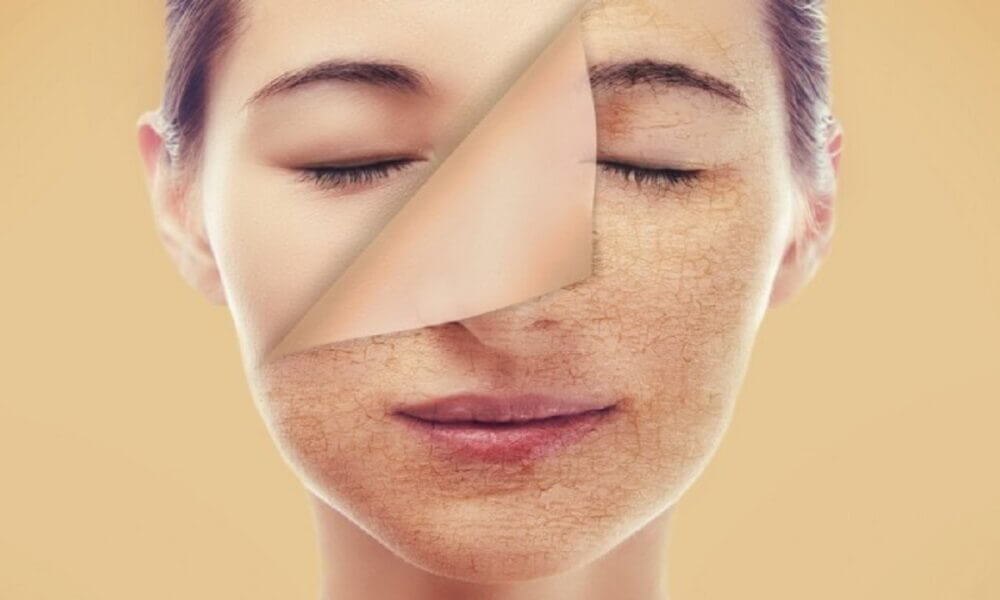 ¿Qué es el microbioma?