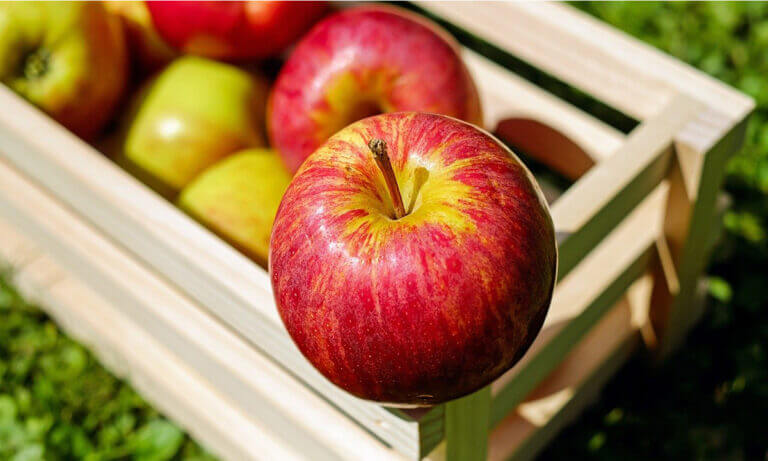 Todos los beneficios que aportan las manzanas si las incluyes en tu dieta