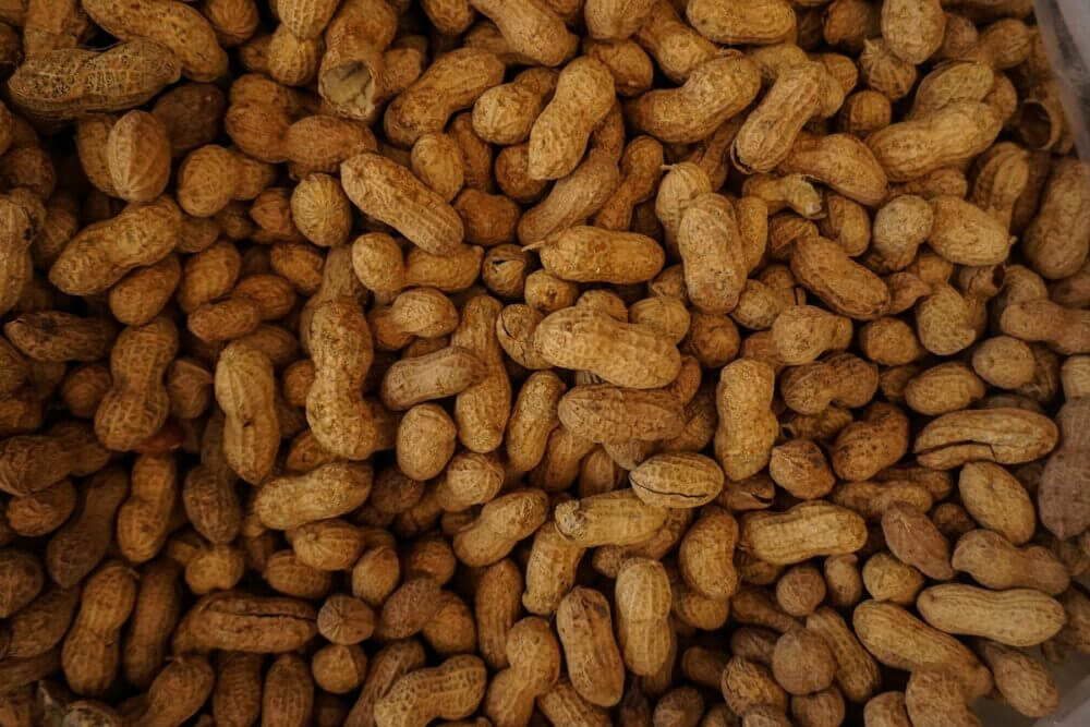 Todos los beneficios que aporta consumir cacahuates