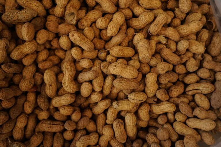 Todos los beneficios que aporta consumir cacahuates