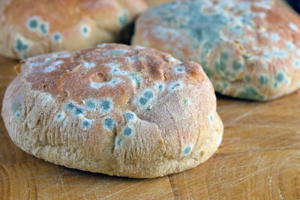 Es malo comer pan mohoso