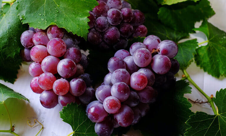 Principales beneficios que aportan las uvas al consumirlas a diario