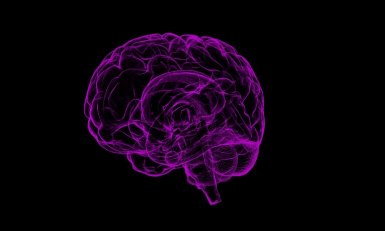 ¿Qué es la fatiga del sistema nervioso central y cómo se produce?
