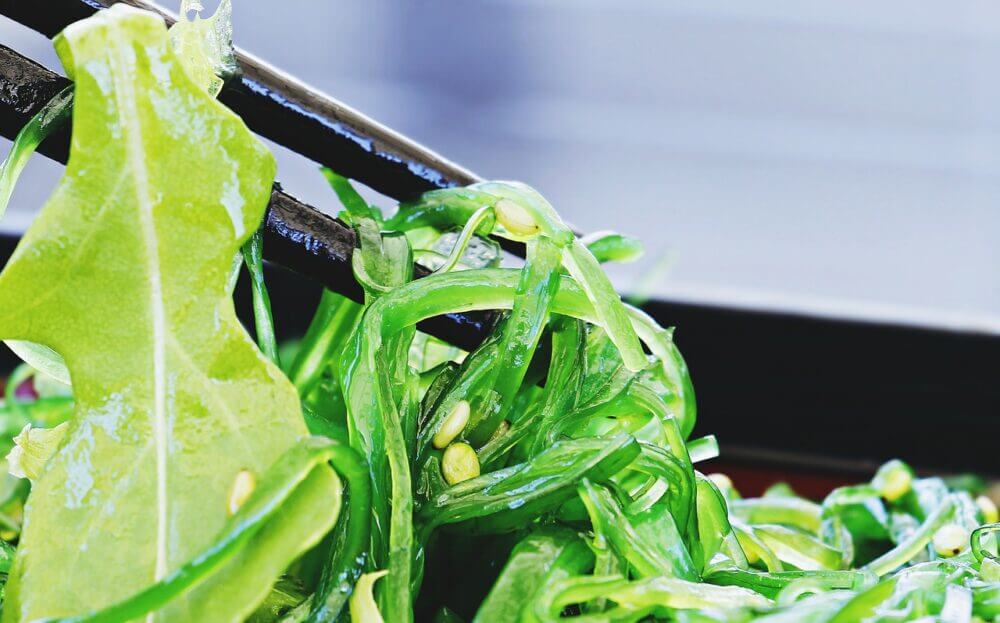 Recetas con algas