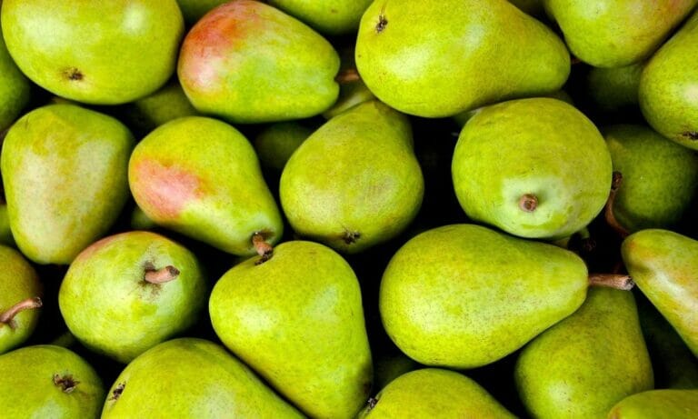 Alimentos para sentirte menos hinchado