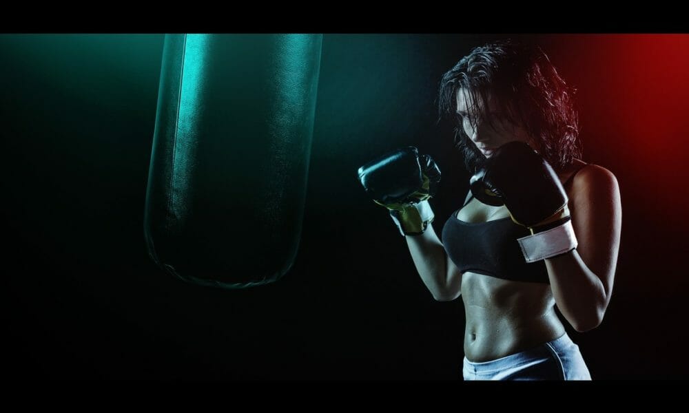 Artículos para practicar boxeo