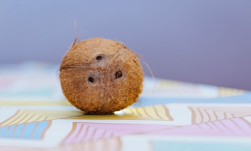Comer coco