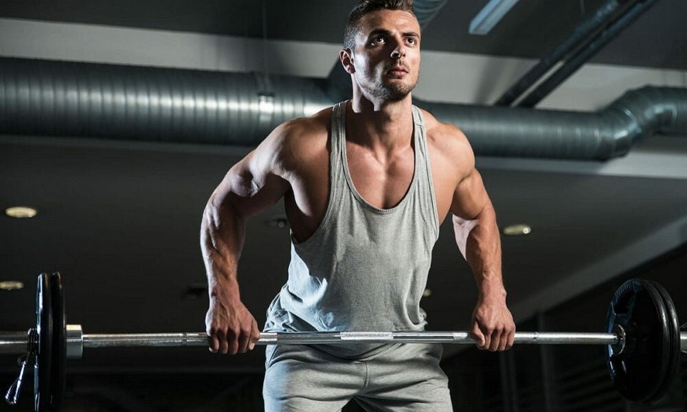 musculatura de la espalda