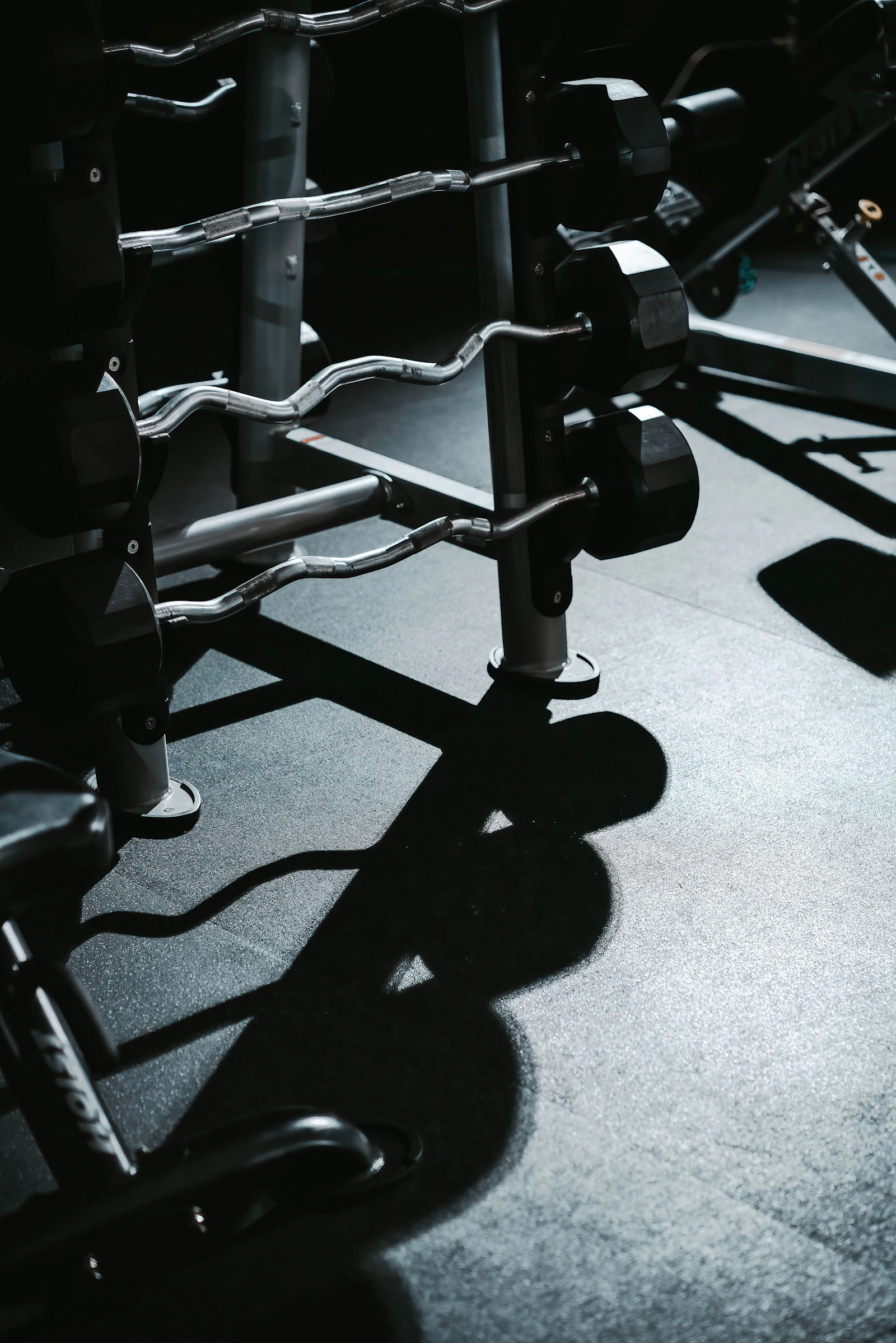 Discos de peso y barra en un rack del gimnasio